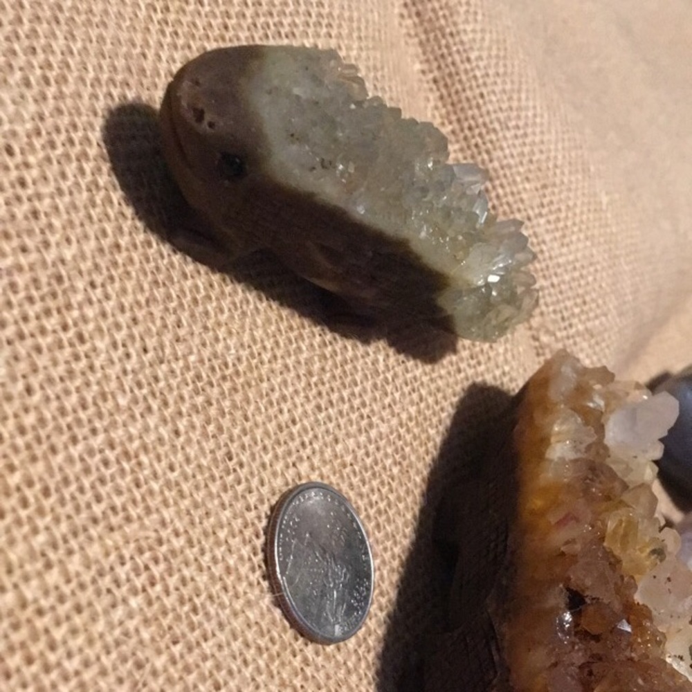 Carved rare Smokey Citrine Salamander